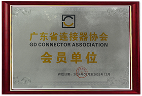 Guangdong Connector Member